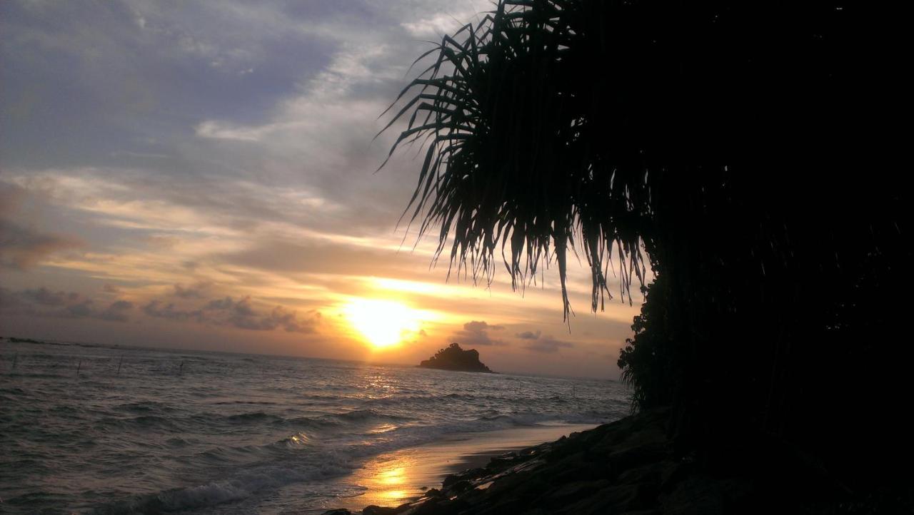 Sundance Surf Coconut Point Hotel Weligama Buitenkant foto